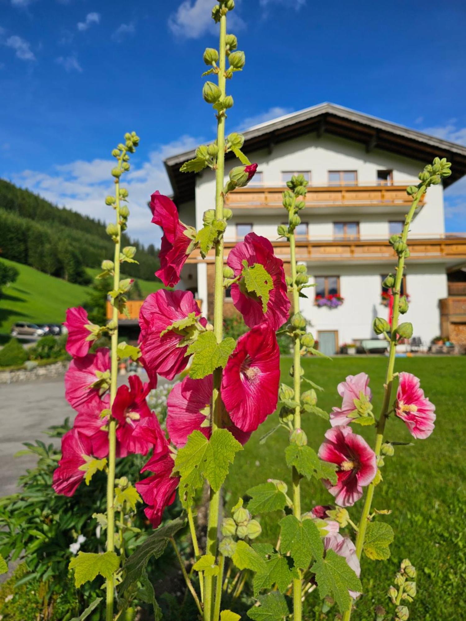 Haus Bergkristall Berwang Exterior foto